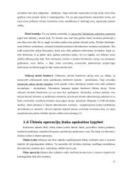 Fundamentinė apskaitos lygybė: kompiuterinių programų kūrimas UAB "Labbis" 17 puslapis