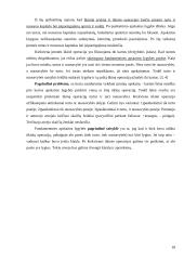 Fundamentinė apskaitos lygybė: kompiuterinių programų kūrimas UAB "Labbis" 18 puslapis