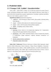 Fundamentinė apskaitos lygybė: kompiuterinių programų kūrimas UAB "Labbis" 19 puslapis