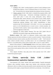 Fundamentinė apskaitos lygybė: kompiuterinių programų kūrimas UAB "Labbis" 20 puslapis