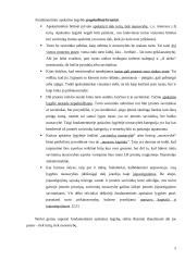 Fundamentinė apskaitos lygybė: kompiuterinių programų kūrimas UAB "Labbis" 5 puslapis