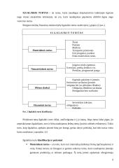 Fundamentinė apskaitos lygybė: kompiuterinių programų kūrimas UAB "Labbis" 9 puslapis