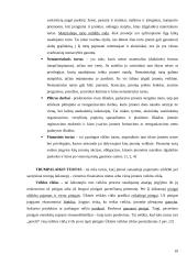 Fundamentinė apskaitos lygybė: kompiuterinių programų kūrimas UAB "Labbis" 10 puslapis