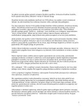 Gyventojų turto draudimas: AB "Lietuvos draudimas" 3 puslapis