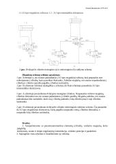 Pneumatinių cilindrų valdymo principai 2 puslapis