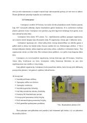 Globalizacija ir antiglobalistiniai judėjimai 12 puslapis