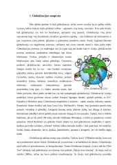 Globalizacija ir antiglobalistiniai judėjimai 3 puslapis
