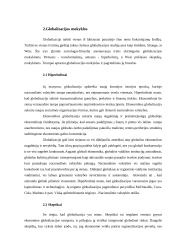 Globalizacija ir antiglobalistiniai judėjimai 5 puslapis