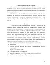 Granuliavimas. Granuliavimo reikšmė tablečių gamyboje 11 puslapis