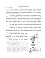 Granuliavimas. Granuliavimo reikšmė tablečių gamyboje 3 puslapis