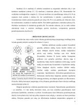 Granuliavimas. Granuliavimo reikšmė tablečių gamyboje 4 puslapis