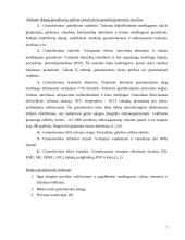 Granuliavimas. Granuliavimo reikšmė tablečių gamyboje 7 puslapis