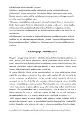 Grupinio darbo metodo naudojimas/reikšmė rizikos grupių reabilitacijai 11 puslapis