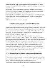 Grupinio darbo metodo naudojimas/reikšmė rizikos grupių reabilitacijai 5 puslapis