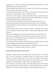 Grupinio darbo metodo naudojimas/reikšmė rizikos grupių reabilitacijai 8 puslapis