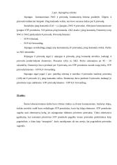 STP technologijos tyrimas 2 puslapis