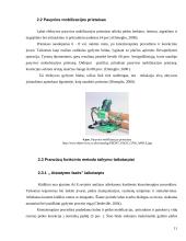 Įgimtos kūdikių šleivapėdystės etiopatogenezė, diagnostika ir gydymas Ponseti bei prancūzų funkciniu metodais 10 puslapis