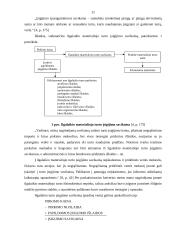 Ilgalaikaikio materialinio turto apskaita: GKĮ "J. Kvederis" 11 puslapis