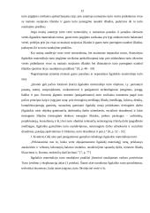 Ilgalaikaikio materialinio turto apskaita: GKĮ "J. Kvederis" 13 puslapis