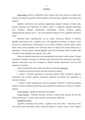 Ilgalaikaikio materialinio turto apskaita: GKĮ "J. Kvederis" 3 puslapis