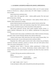 Ilgalaikaikio materialinio turto apskaita: GKĮ "J. Kvederis" 5 puslapis