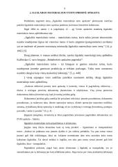 Ilgalaikaikio materialinio turto apskaita: GKĮ "J. Kvederis" 9 puslapis