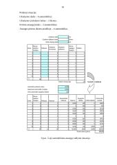 Imitacinio modeliavimo teorijos praktinis taikymas: prekyba naujais automobiliais UAB "AP" 16 puslapis
