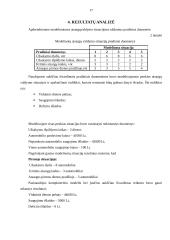 Imitacinio modeliavimo teorijos praktinis taikymas: prekyba naujais automobiliais UAB "AP" 17 puslapis