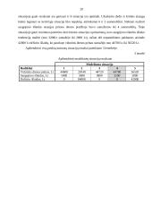 Imitacinio modeliavimo teorijos praktinis taikymas: prekyba naujais automobiliais UAB "AP" 20 puslapis