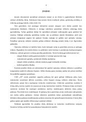 Imitacinio modeliavimo teorijos praktinis taikymas: prekyba naujais automobiliais UAB "AP" 4 puslapis