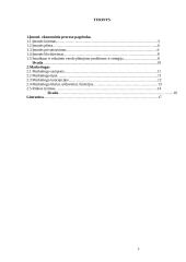 Įmonė kaip ekonominis procesas 2 puslapis