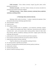 Įmonė kaip ekonominis procesas 12 puslapis