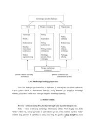Įmonė kaip ekonominis procesas 13 puslapis
