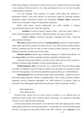 Įmonė kaip ekonominis procesas 14 puslapis