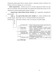 Įmonė kaip ekonominis procesas 15 puslapis