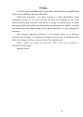 Įmonė kaip ekonominis procesas 16 puslapis