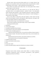 Įmonė kaip ekonominis procesas 5 puslapis