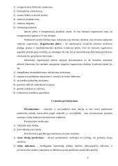 Įmonė kaip ekonominis procesas 6 puslapis