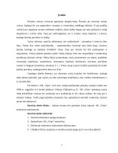 Įmonės mokestinė atskaitomybė: prekyba vaisiais AB "Vėjas" 2 puslapis