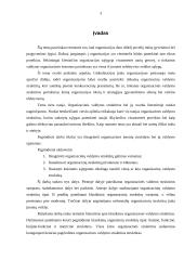 Įmonės organizacinė struktūra, jų tipai 2 puslapis