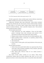 Įmonės organizacinė struktūra, jų tipai 13 puslapis