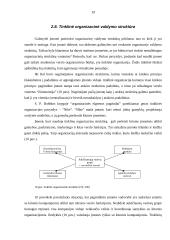 Įmonės organizacinė struktūra, jų tipai 18 puslapis