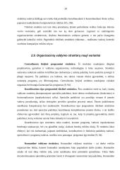 Įmonės organizacinė struktūra, jų tipai 19 puslapis