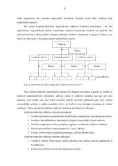 Įmonės organizacinė struktūra, jų tipai 10 puslapis