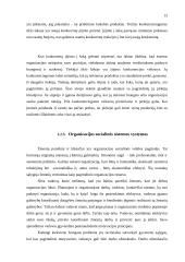 Įmonės plėtra 13 puslapis