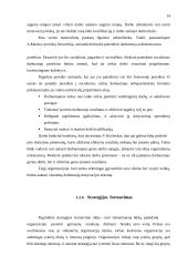 Įmonės plėtra 14 puslapis