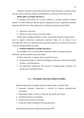 Įmonės plėtra 16 puslapis