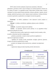 Įmonės plėtra 17 puslapis