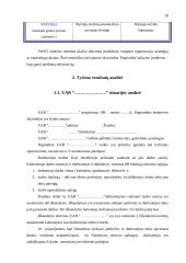 Įmonės plėtra 18 puslapis