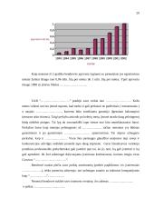 Įmonės plėtra 20 puslapis